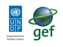 UNDP-GEF青海項(xiàng)目技術(shù)咨詢服務(wù)公開招標(biāo)公告